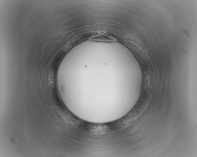 X0000115790274200912041518