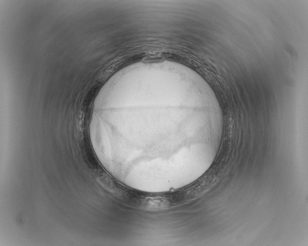 X0000115790275200912041518