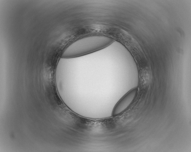 X0000115790276200912041519