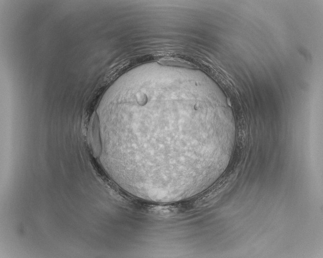 X0000115790277200912041519