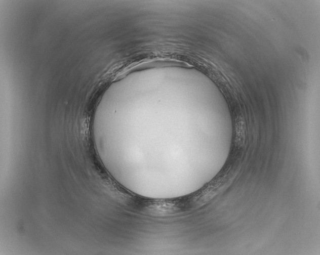 X0000115790278200912041519