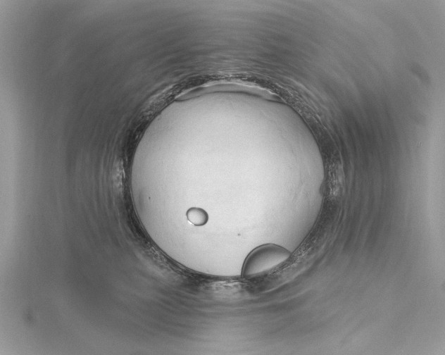 X0000115790279200912041519