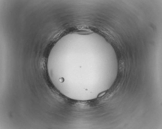 X0000115790280200912041519