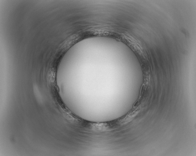 X0000115790281200912041519