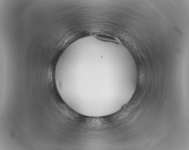 X0000115790282200912041519