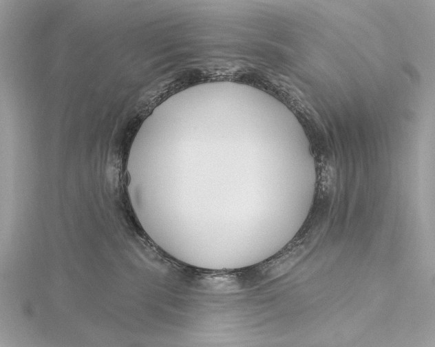 X0000115790283200912041519