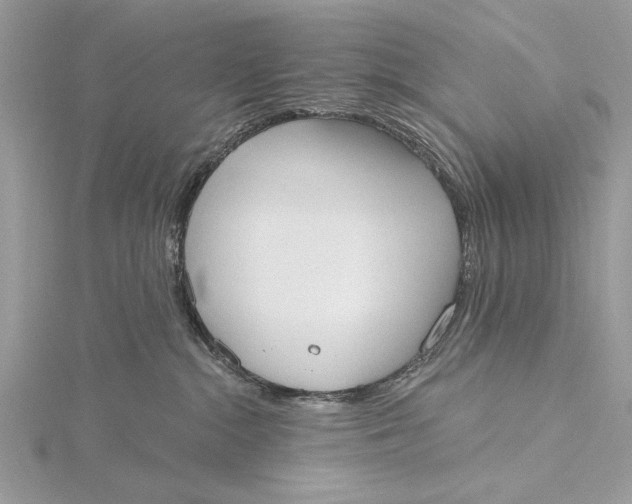 X0000115790284200912041519