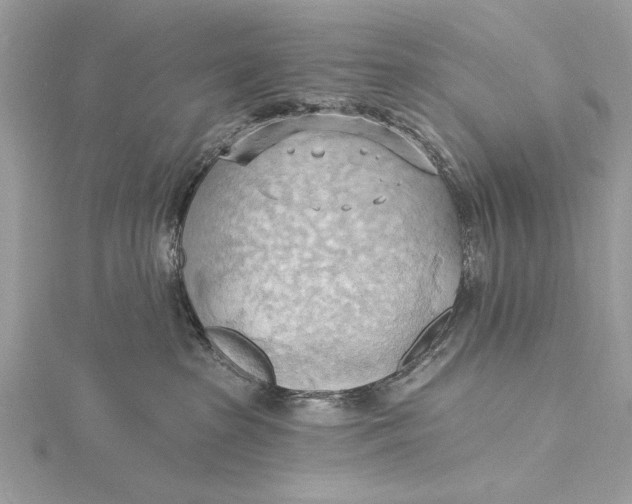 X0000115790285200912041519