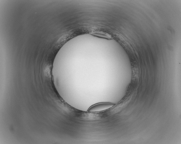 X0000115790286200912041519