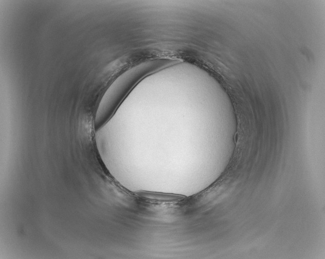 X0000115790288200912041519