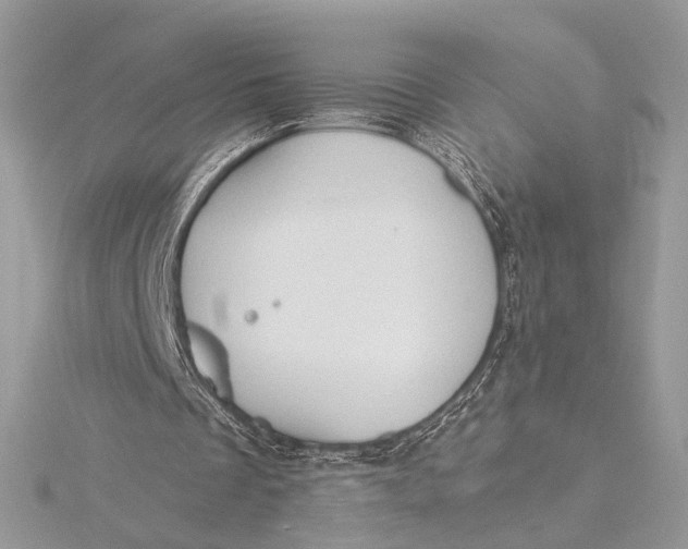 X0000115790289200912041518