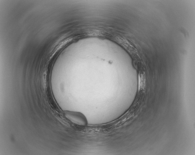 X0000115790291200912041518