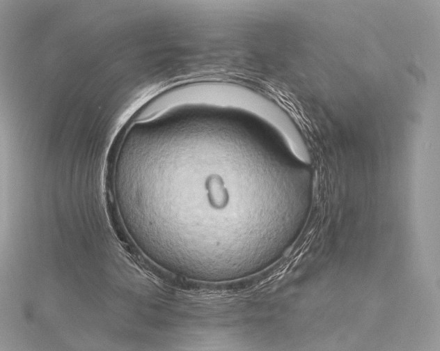 X0000115790292200912041518