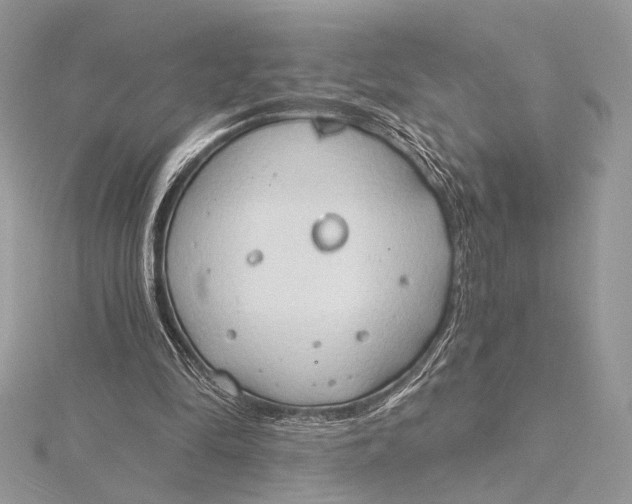 X0000115790294200912041518