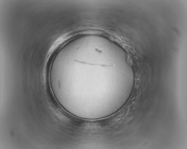 X0000115790296200912041518