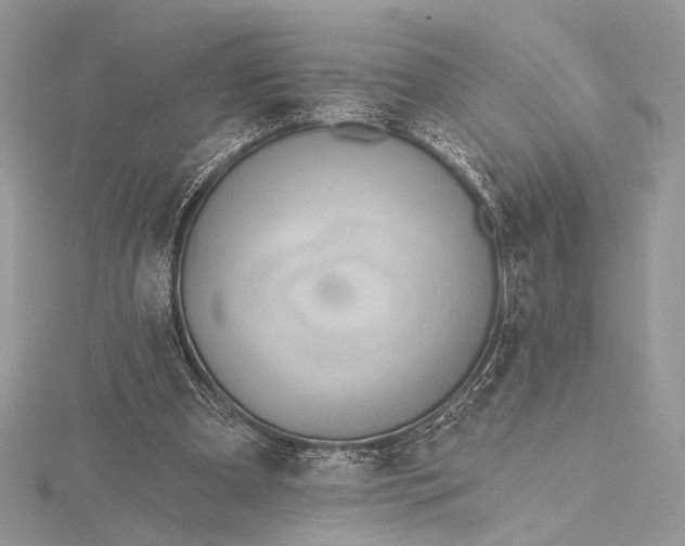 X0000115790297200912041518