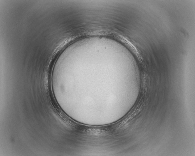 X0000115790298200912041518