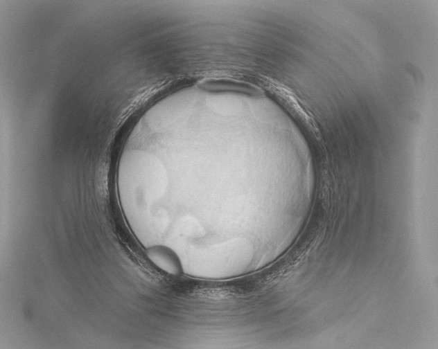 X0000115790299200912041518