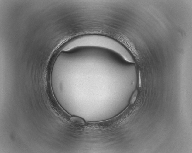 X0000115790300200912041518