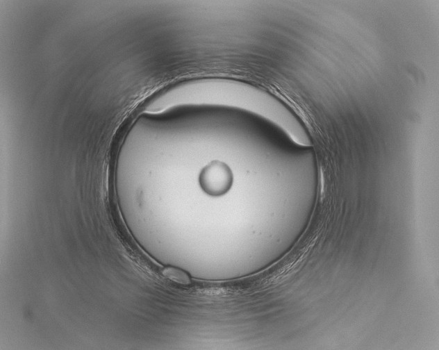 X0000115790301200912041518