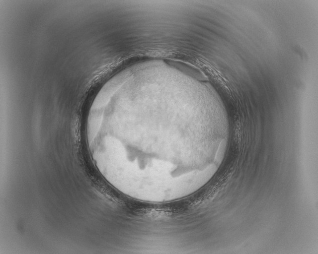 X0000115790303200912041518