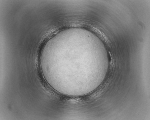 X0000115790306200912041518