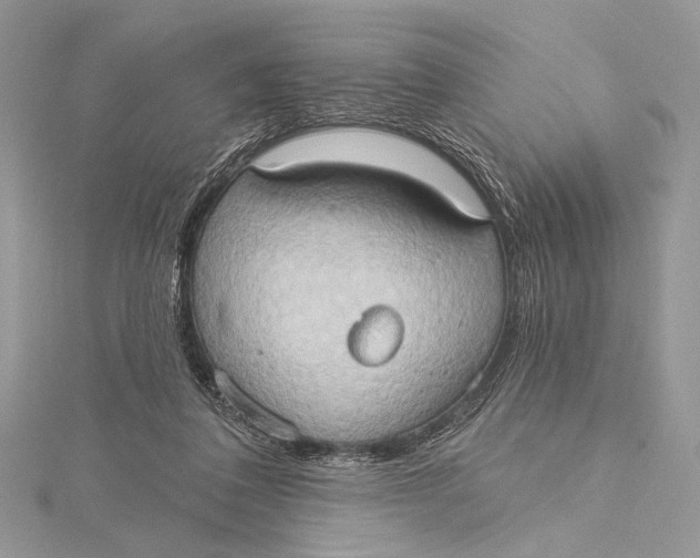 X0000115790308200912041518