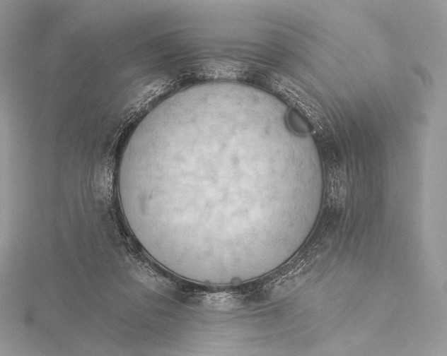 X0000115790309200912041518