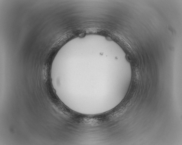 X0000115790311200912041518