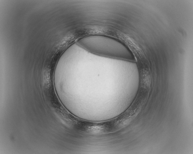 X0000115790312200912041518