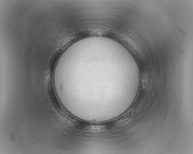 X0000115790314200912041518