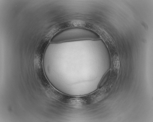 X0000115790316200912041518