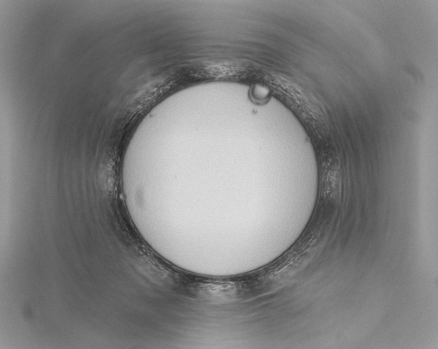 X0000115790317200912041518