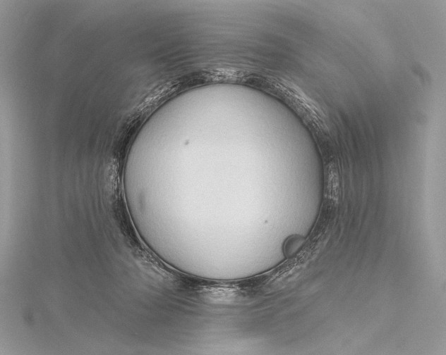 X0000115790318200912041518