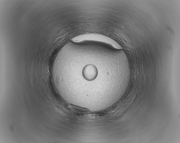 X0000115790320200912041518