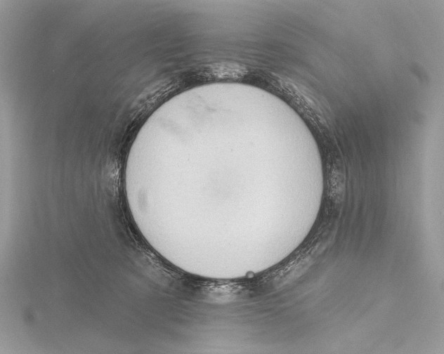 X0000115790321200912041518