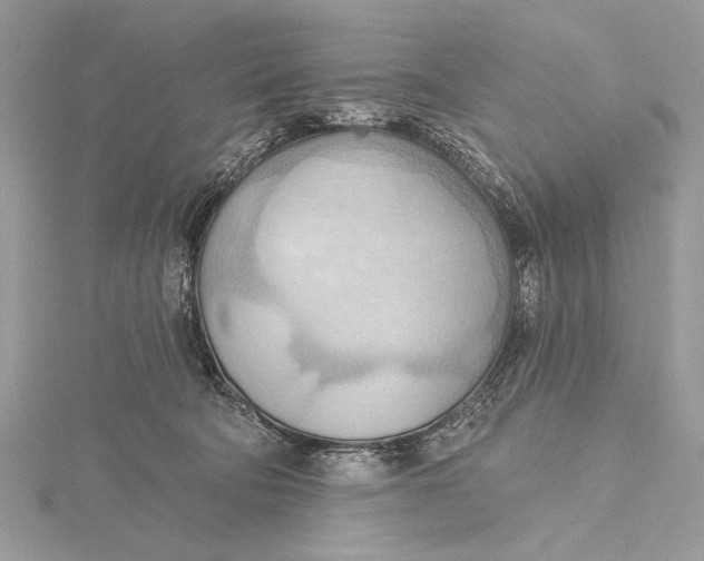 X0000115790322200912041518