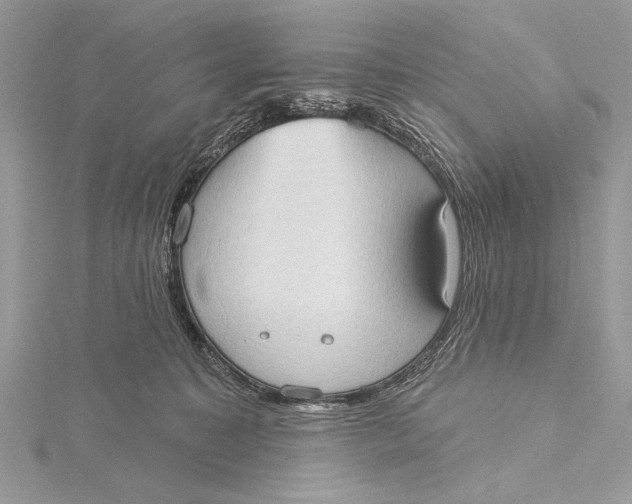 X0000115790323200912041518