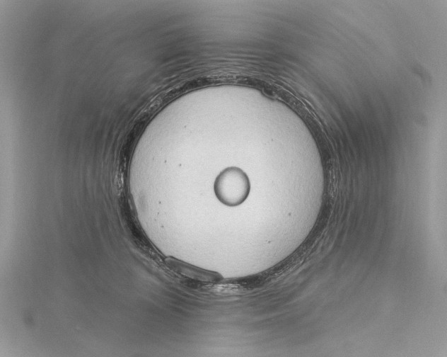 X0000115790324200912041518