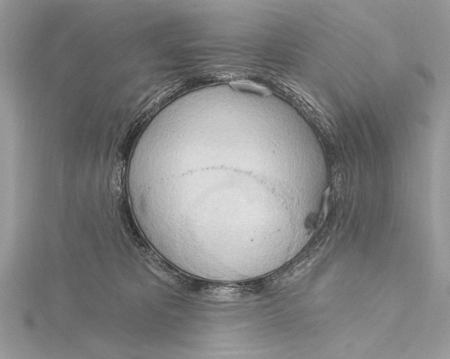 X0000115790325200912041518