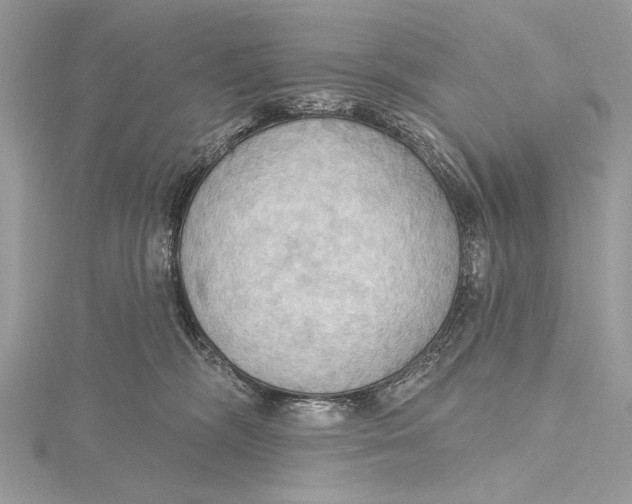 X0000115790326200912041518