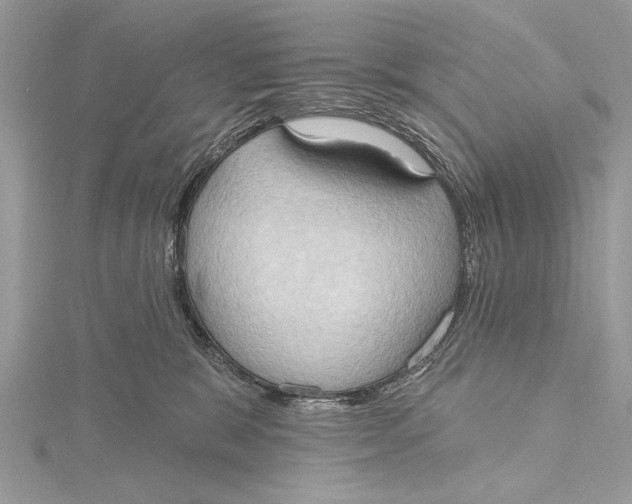 X0000115790327200912041518