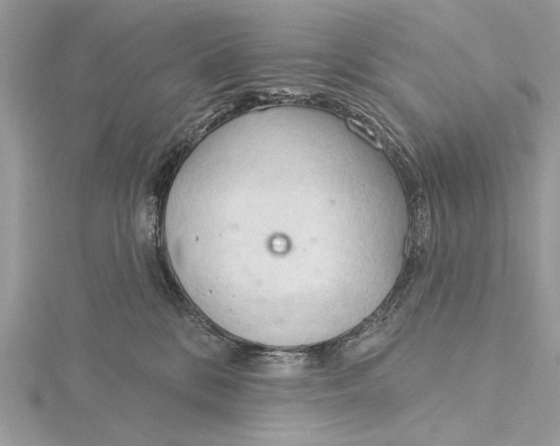 X0000115790328200912041518