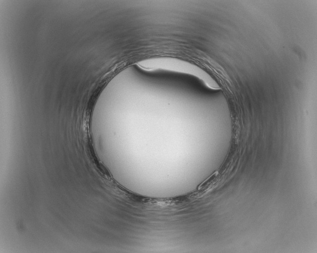 X0000115790329200912041518