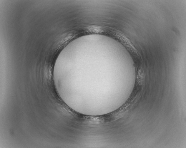 X0000115790330200912041518