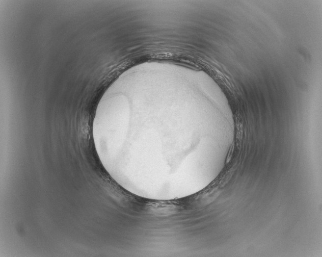 X0000115790331200912041517