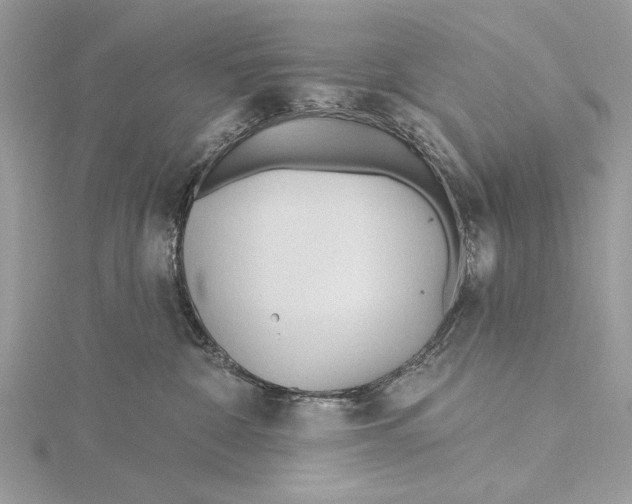 X0000115790332200912041517