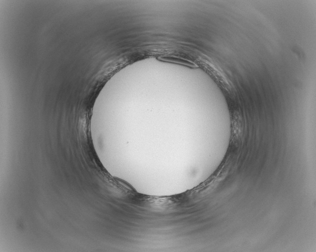 X0000115790333200912041517