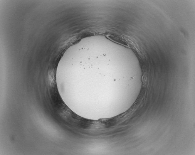 X0000115790335200912041517