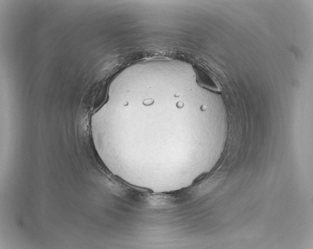 X0000115790336200912041517